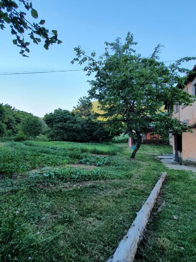 B&B Calecatine Rocca di Botte Kültér fotó